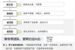 开云体育下载-严谨备战，团队发挥出色