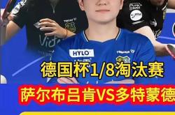 开云体育官方网站-英国乒乓球队力克德国乒乓球队，樊振东送出助攻的简单介绍