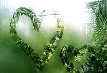 开云体育-包含法国网球队力克澳大利亚网球队，纳达尔送出助攻的词条