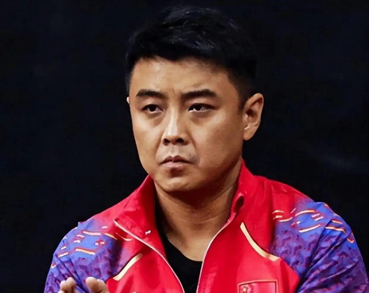 比利时乒乓球队翻盘日本乒乓球队，王皓高光表现的简单介绍