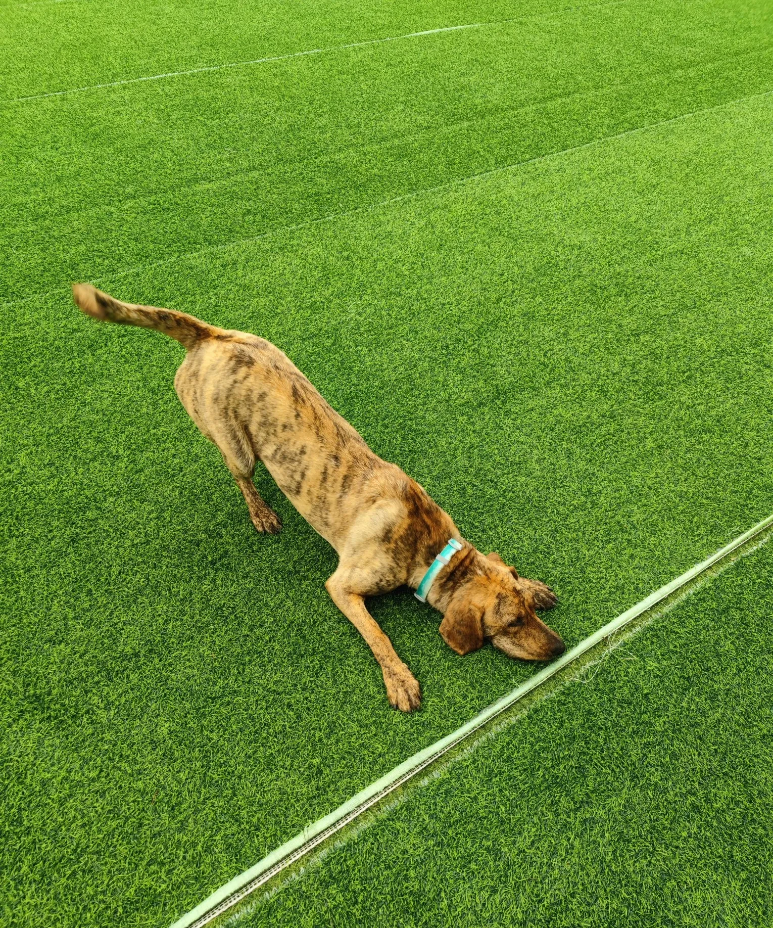 包含球队轮休主力遭遇得分枯竭失利的词条