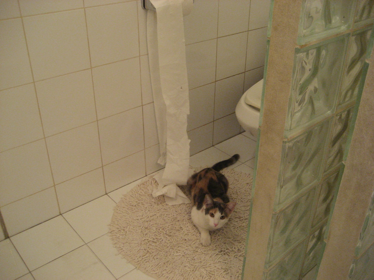 杜兰特关键进球定乾坤，篮网收割尼克斯