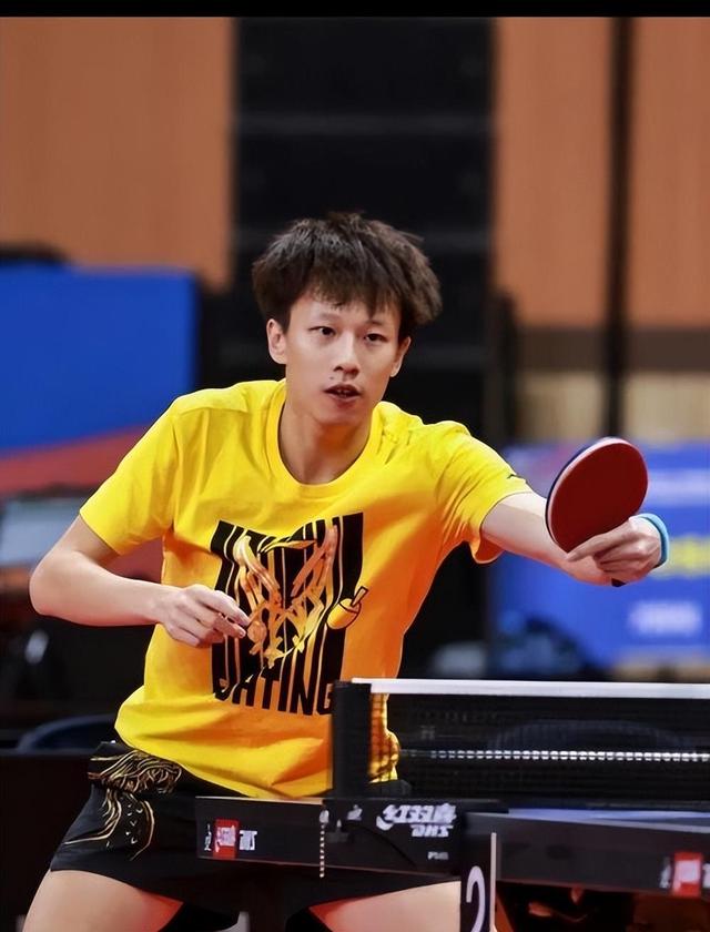 韩国队绝杀奥地利队，林高远统治全场的简单介绍