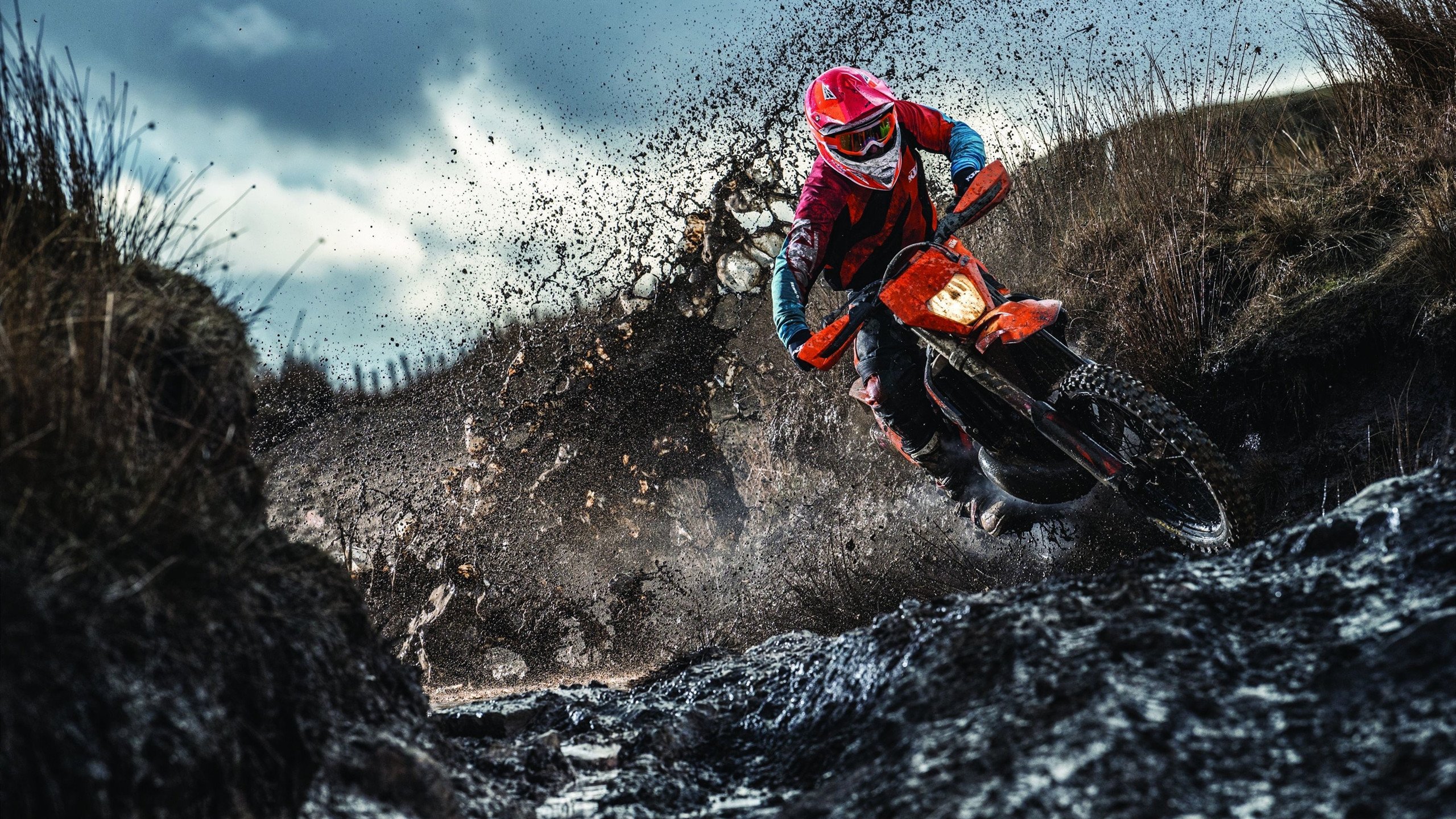 双线奇迹，英格兰横扫法国，张本智和孤胆扛起全队